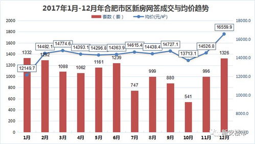 新澳门开奖结果+开奖号码|探索新兴市场投资趋势_游戏版3.224